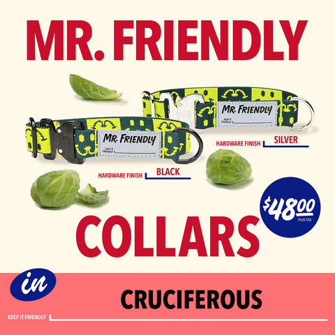CRUCIFEROUS COLLARS