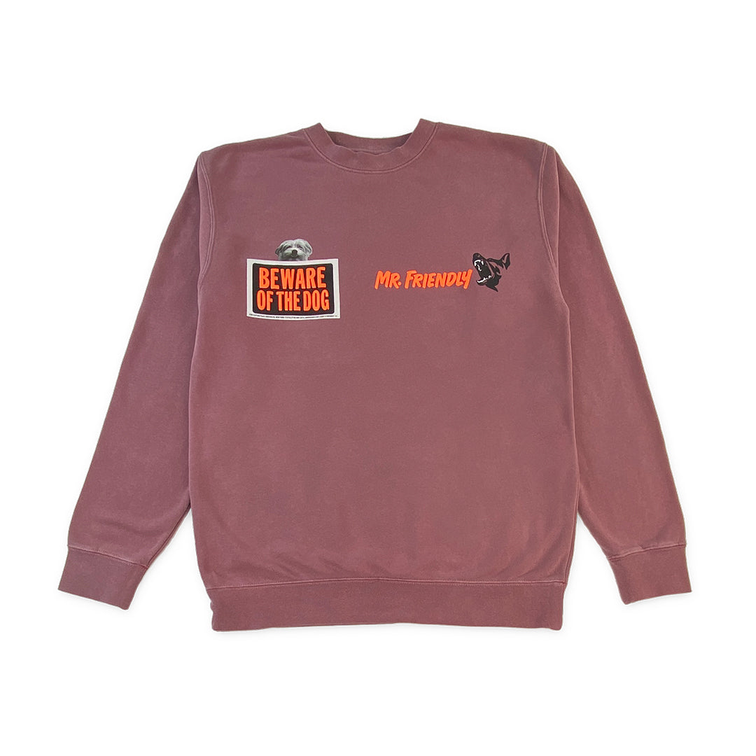 MR. FRIENDLY ANNIVERSARY SWEATSHIRT